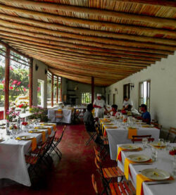 Darenas Eventos Corporativos almuerzo en buganvilias