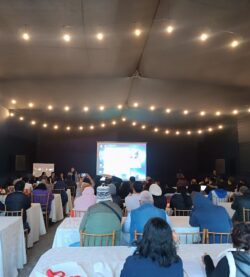 Darenas Eventos Corporativos toldo en plaza sevilla