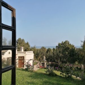 img 20200805 153926