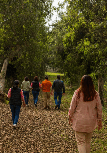 bosque 2