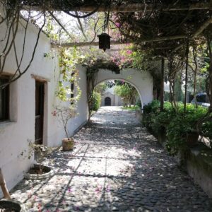 img 20200911 132719